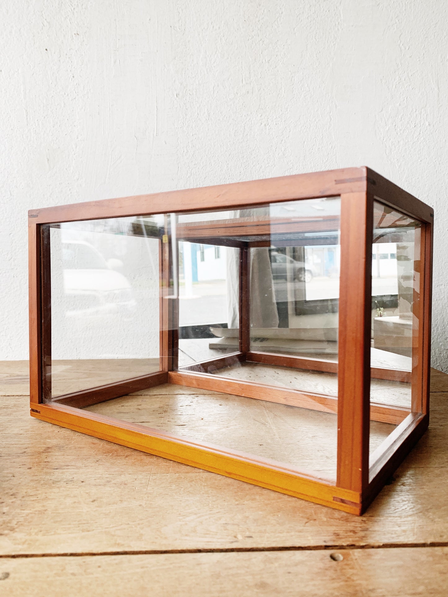Wood and Glass Terrarium With Vintage Book