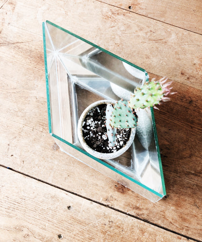 Mirrored Glass Terrarium