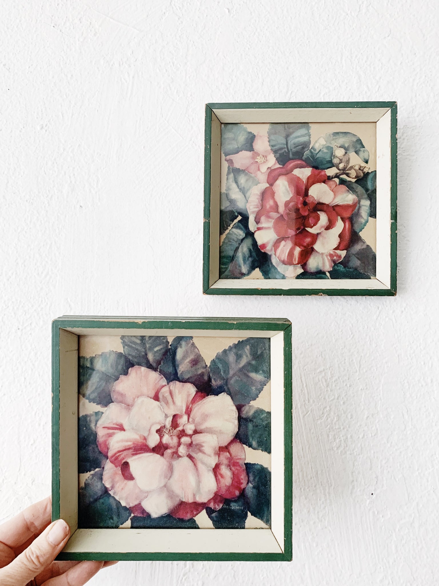 1950’s Framed Floral Prints