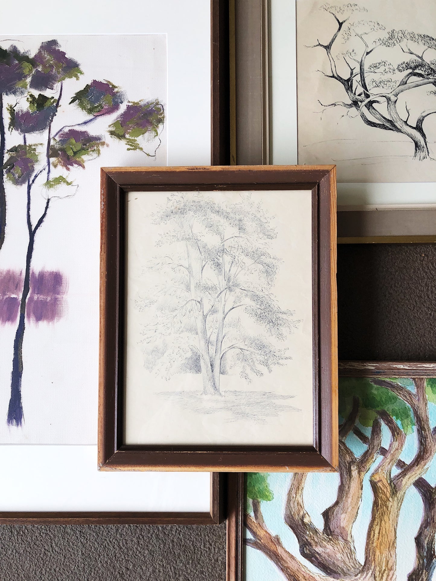 Vintage Original Drawing - Tree Series