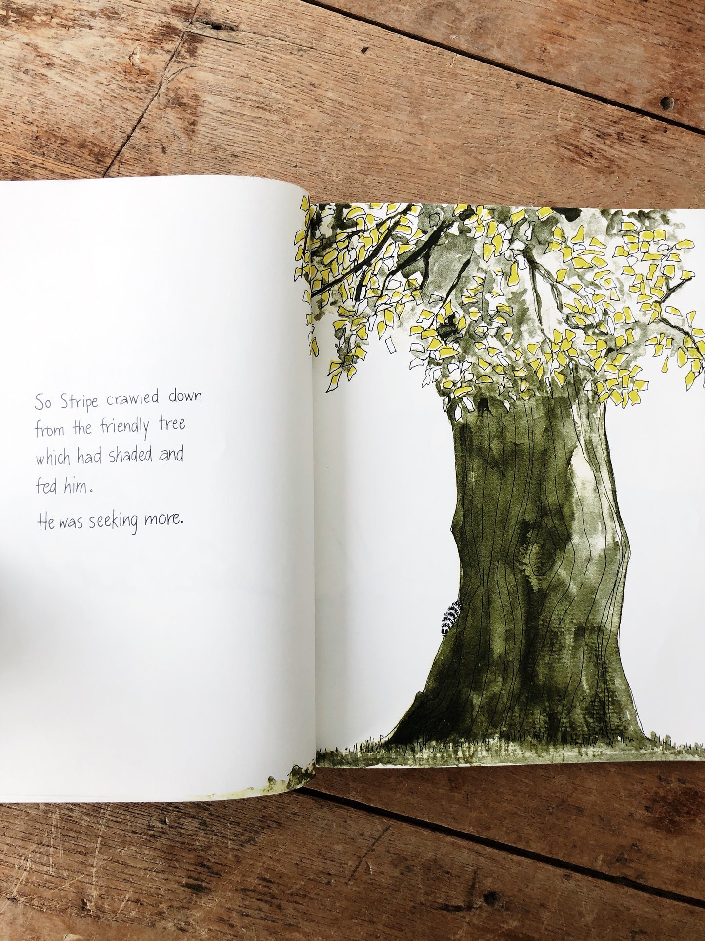 Hope for the Flowers