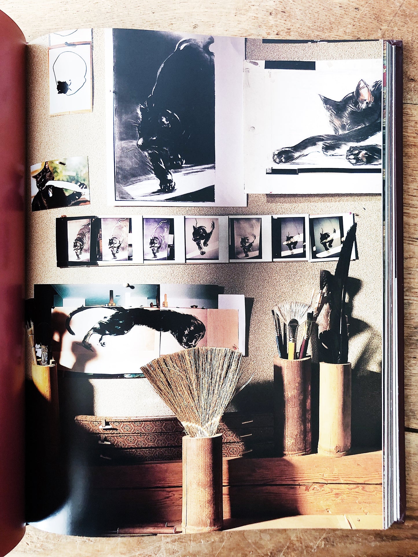 Alpine Interiors Hardcover Design Book