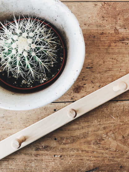 Simple Wood Peg Rack