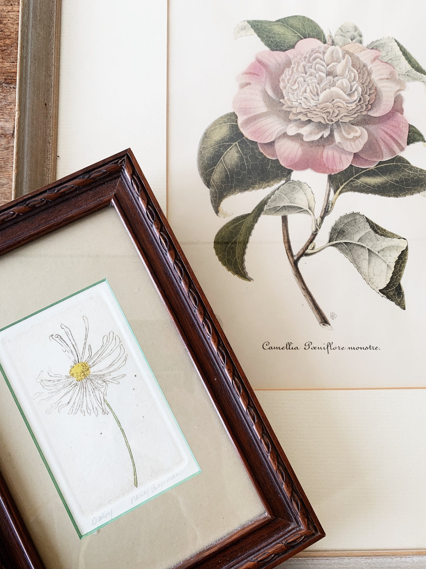 Vintage Framed Daisy Etching