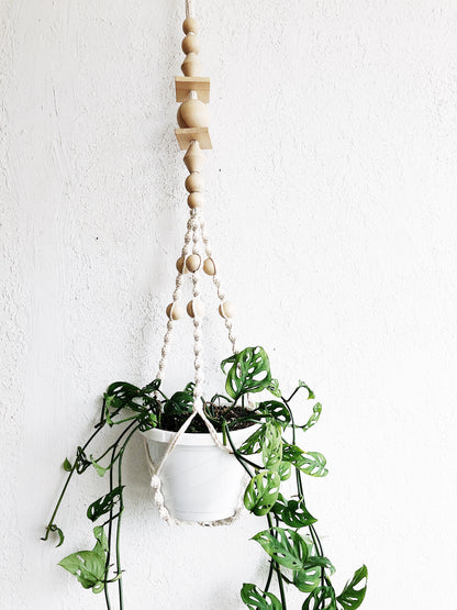 Monstera Adansonii in Macrame