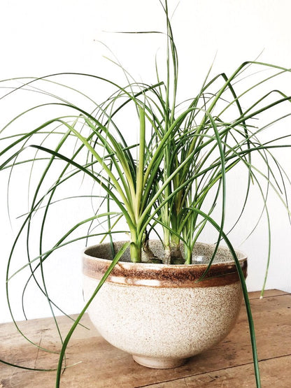 Extra Large Footed Ceramic Bowl