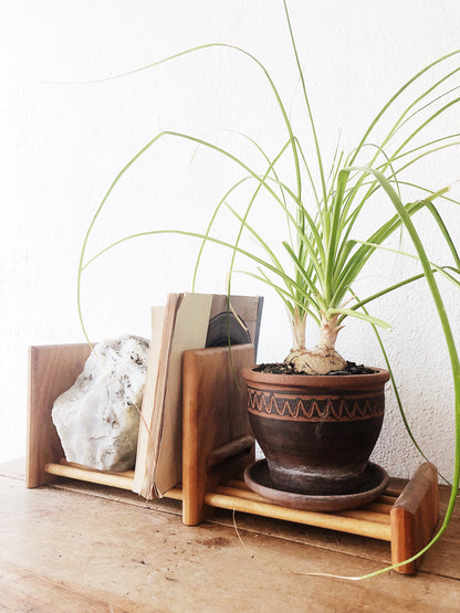 Vintage Expanding Book Rack or Shelf