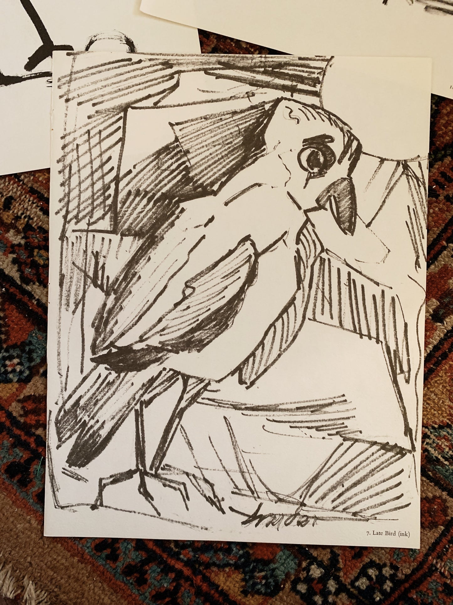 Vintage Amanda Snyder Bird Print