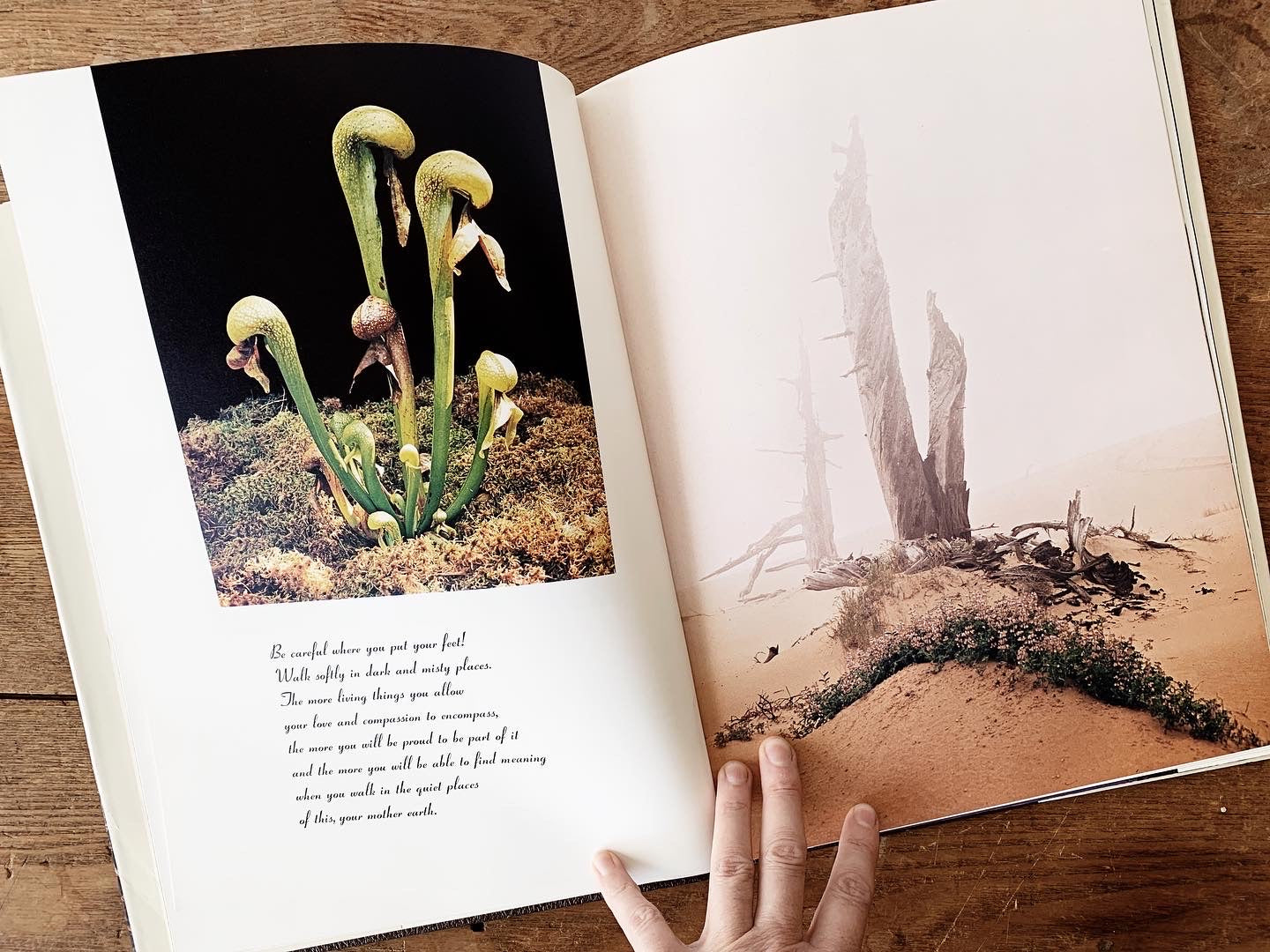 The Living Dunes Vintage Art Book
