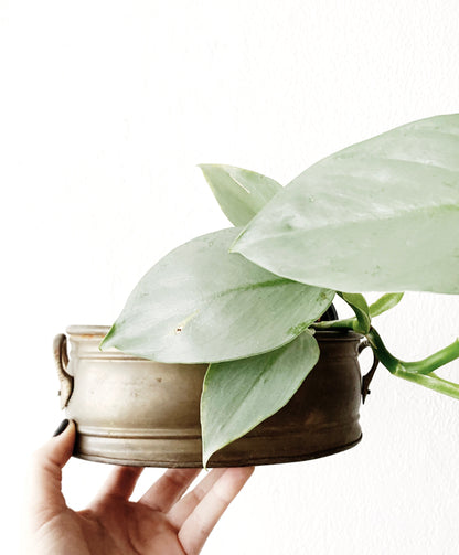 Vintage Brass Cache Pot