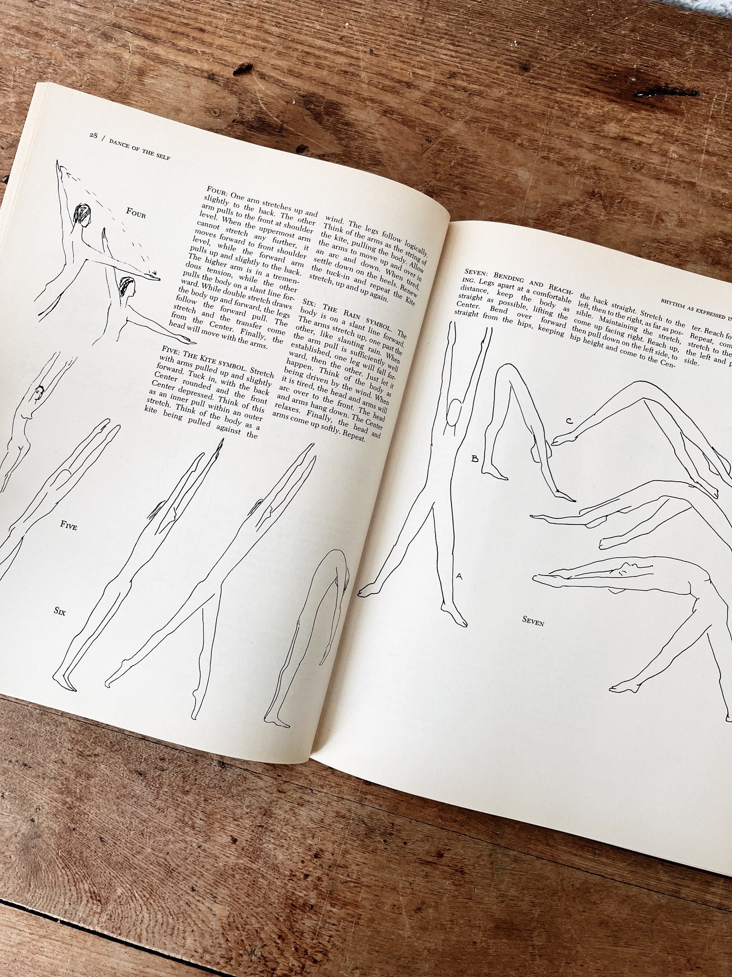 Vintage Dance of the Self Hardcover