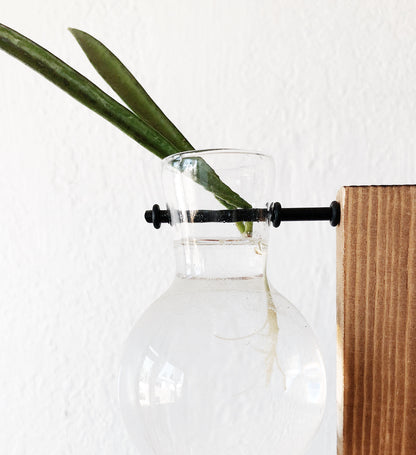 Lab Style Plant Propagator or Vase