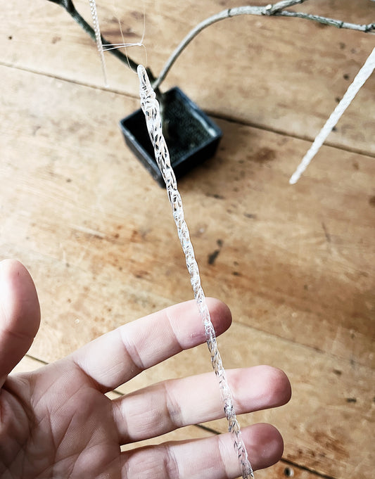 Set of Glass Icicle Ornaments