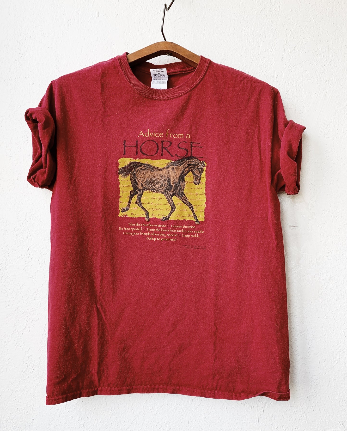 Advice From A Horse TShirt