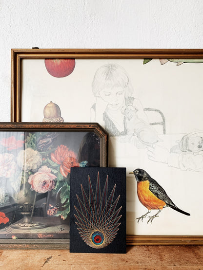 Mid Century Framed Art