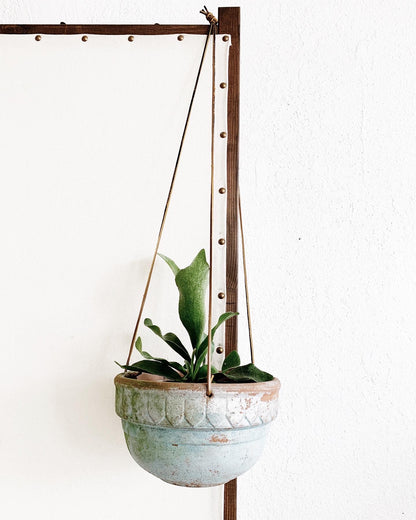 Hanging Terra Cotta Planter