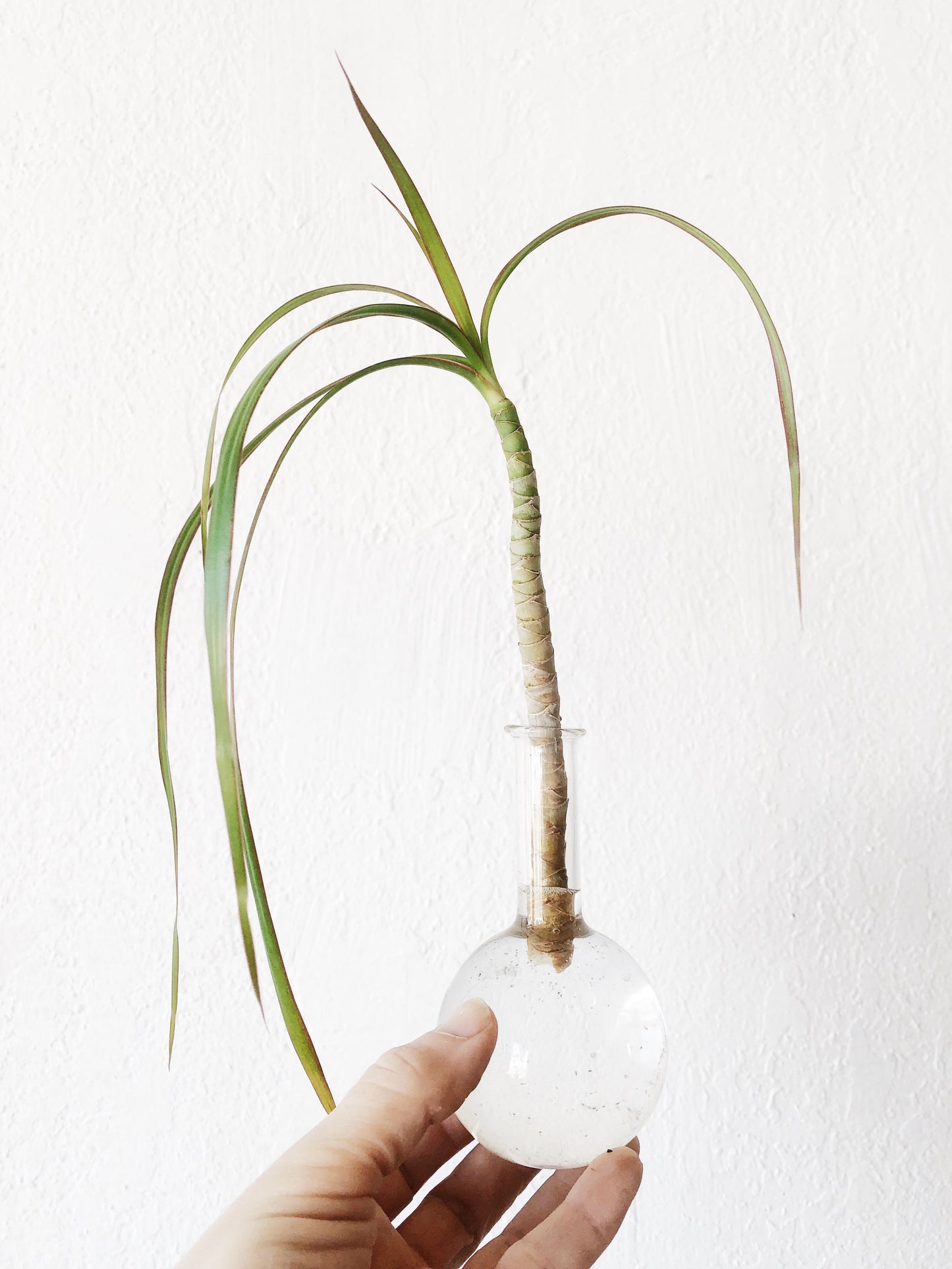 Vintage Chemistry Flask