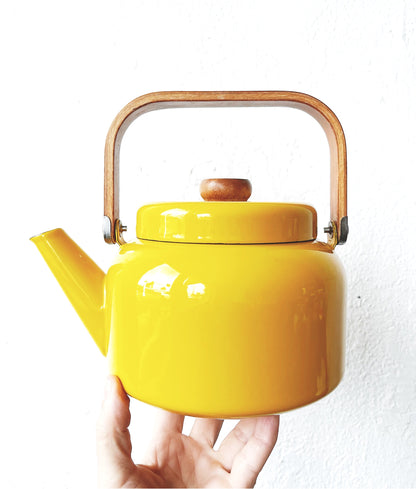 Vintage Enamel Kettle