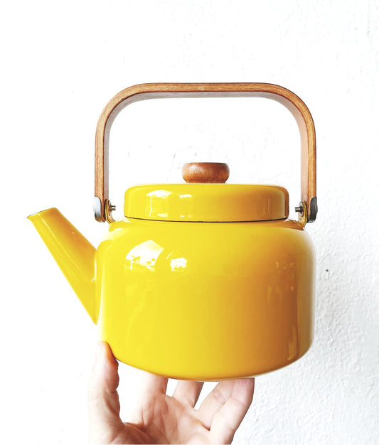 Vintage Enamel Kettle
