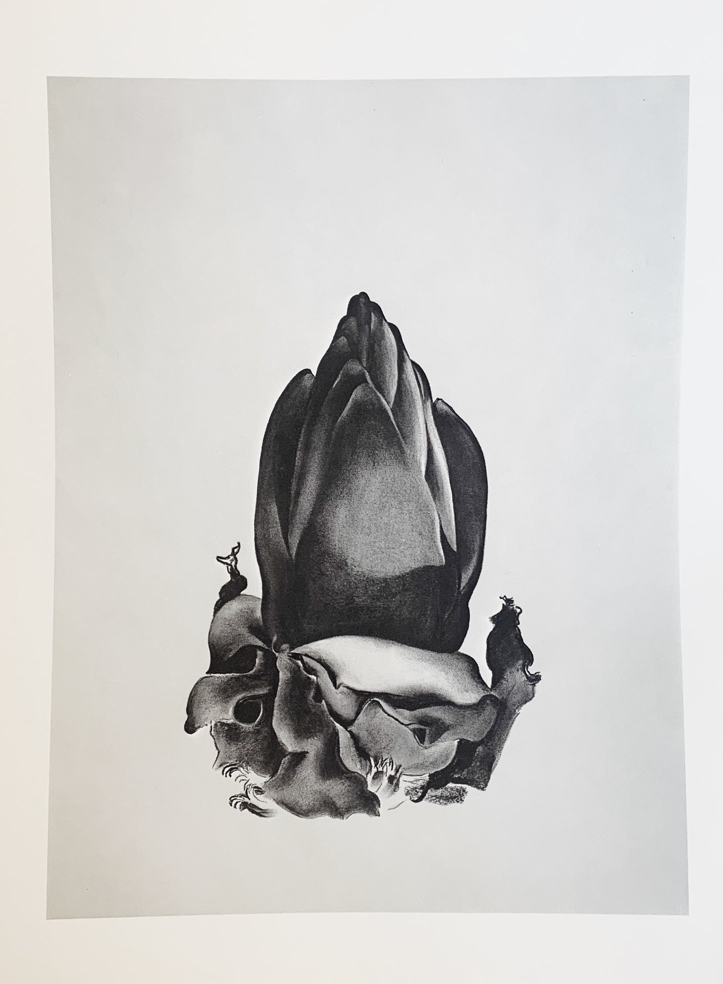 Vintage Georgia O’Keeffe Original 1970 Print