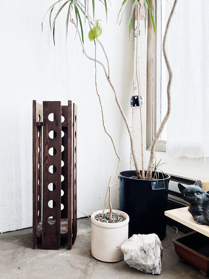 Antique Eastlake Plant Stand