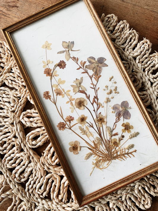 Vintage Framed Dried Flowers Germany
