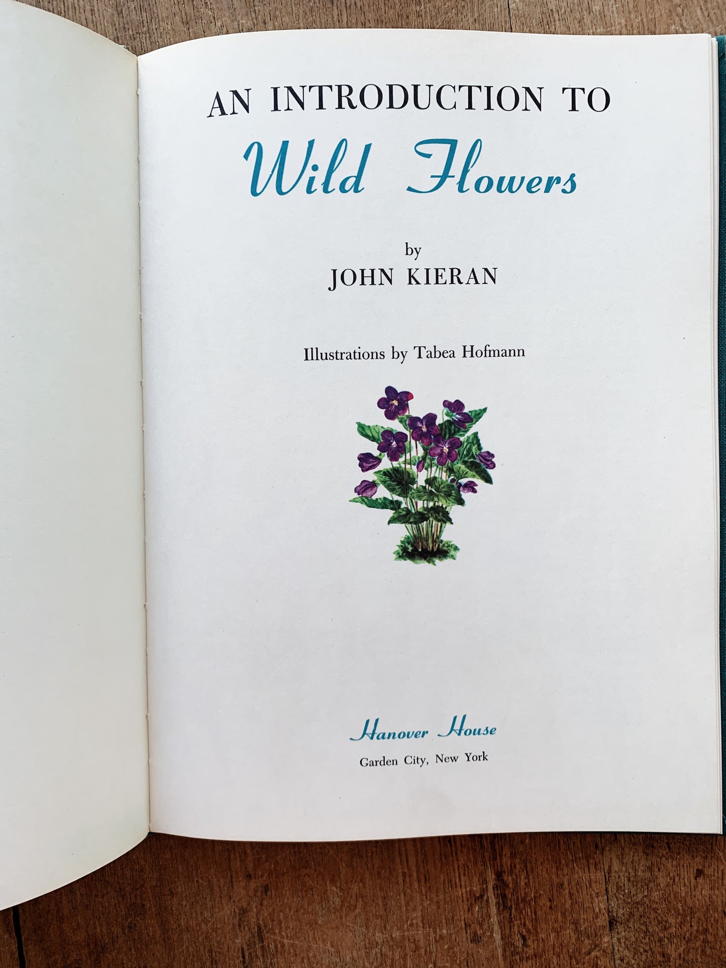 An Introduction to Wildflowers Hardcover 1952