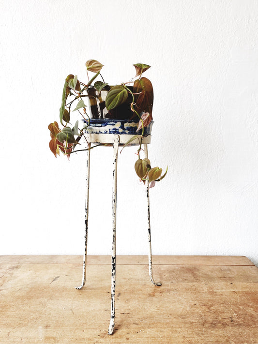 Mid Century Pant Stand