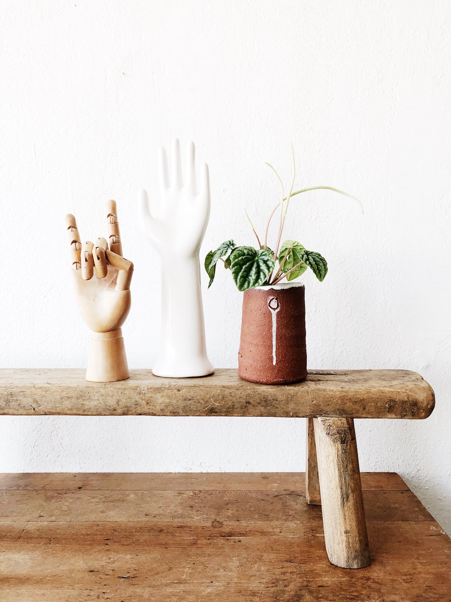 Pepperomia in Handmade Ghost Dancer Pot