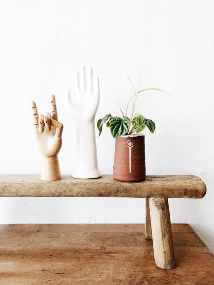 Pepperomia in Handmade Ghost Dancer Pot