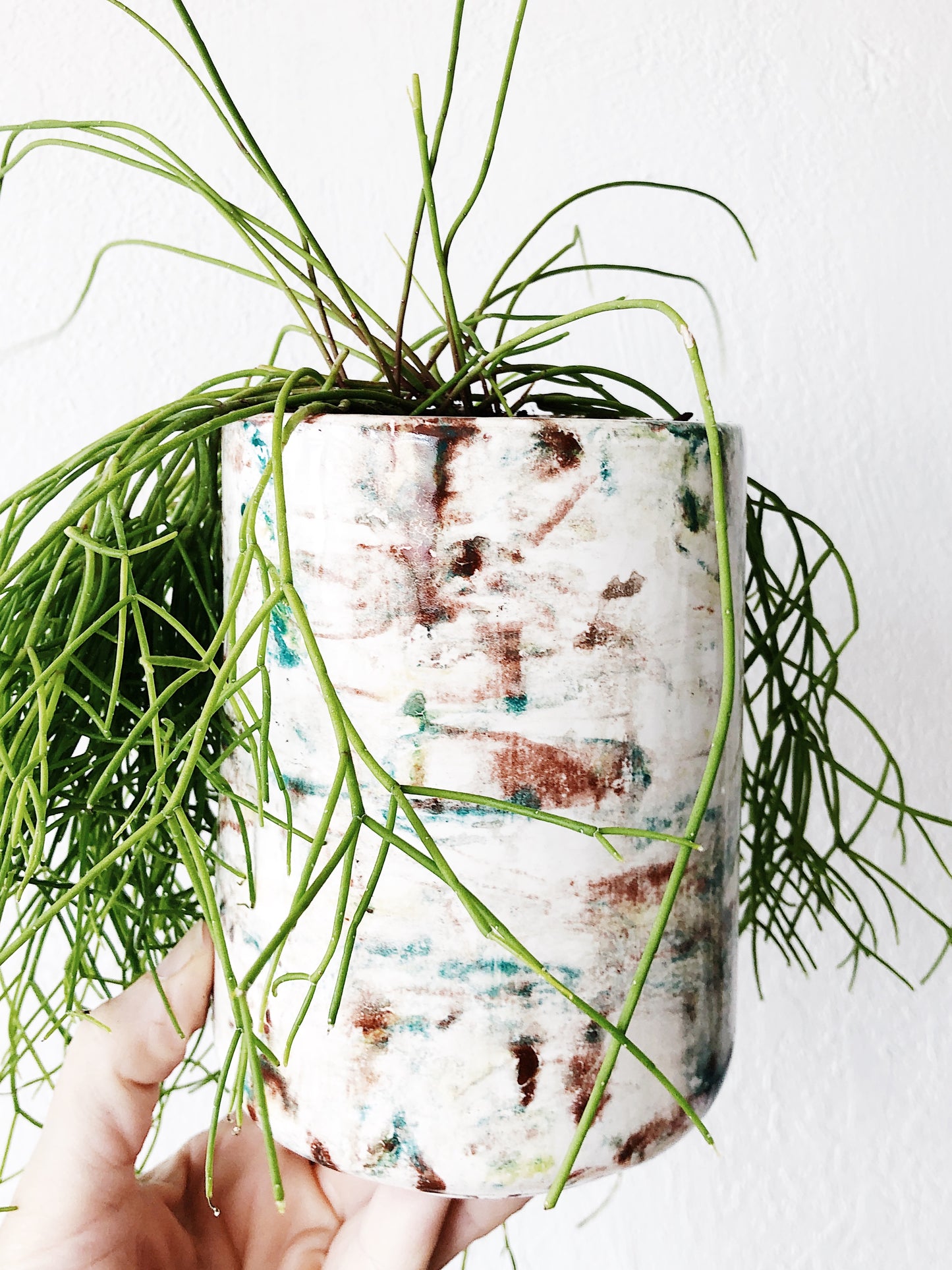Rhipsalis Potted in Splatter Ceramic