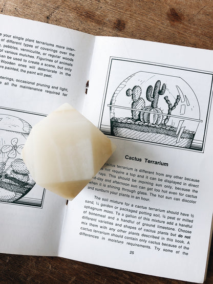 Golden Agate Polyhedron