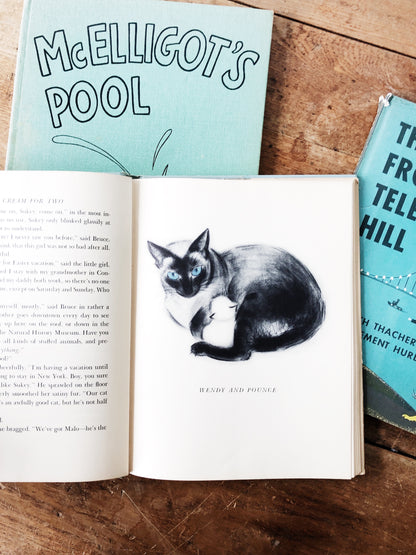 Vintage Children’s Book Set