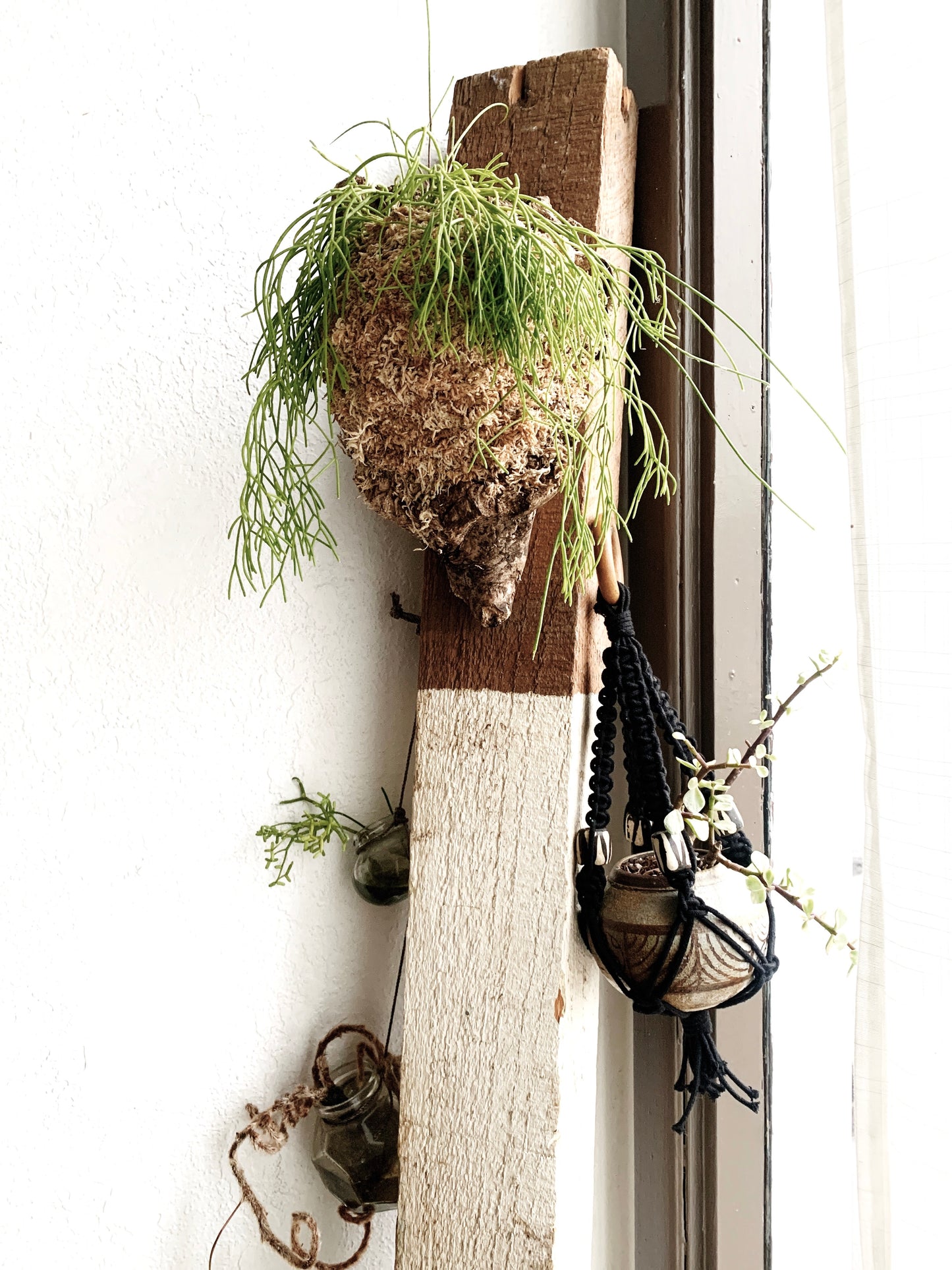 Handmade Plant Hanger