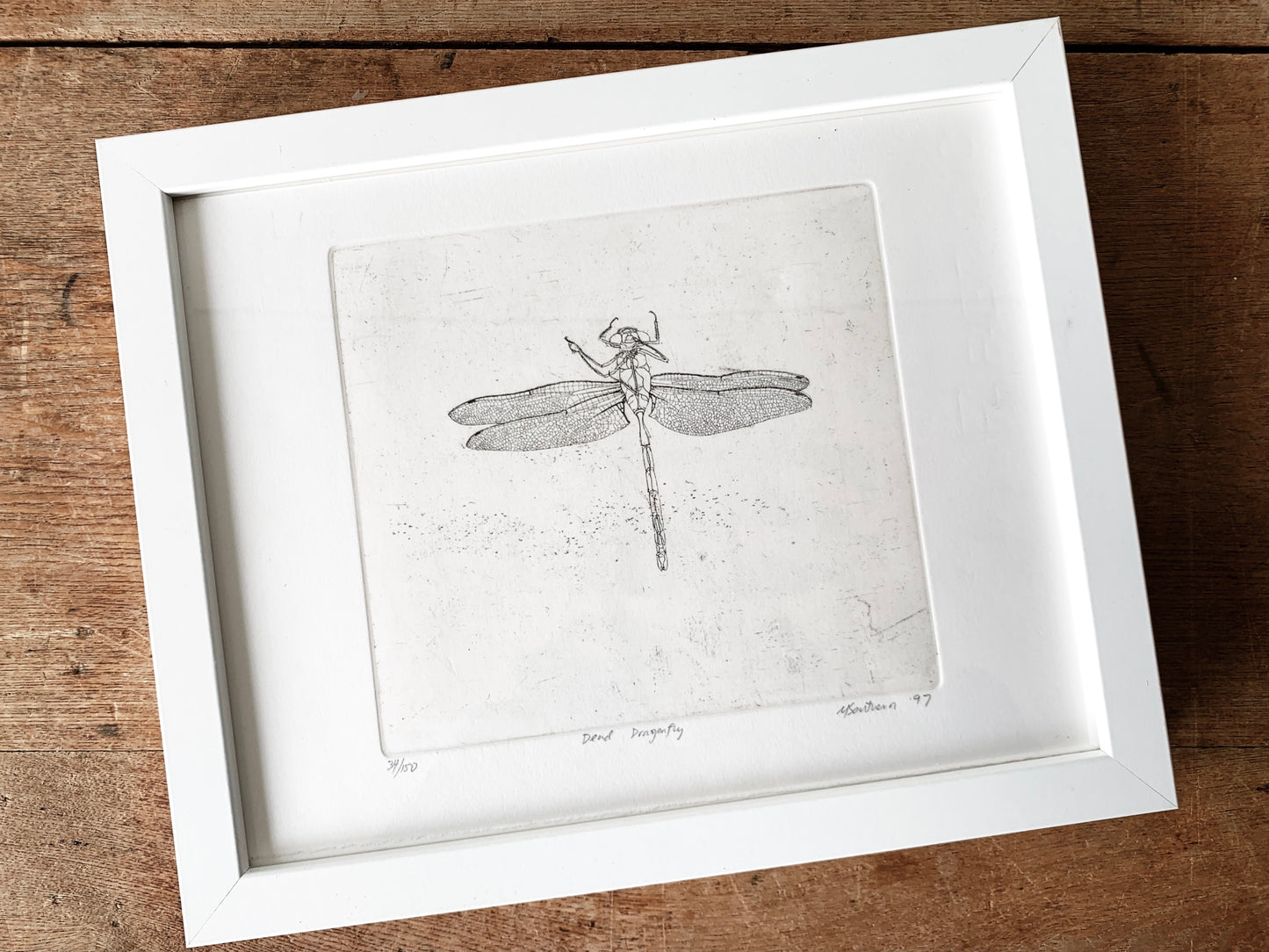 Vintage Framed Dragonfly Etching