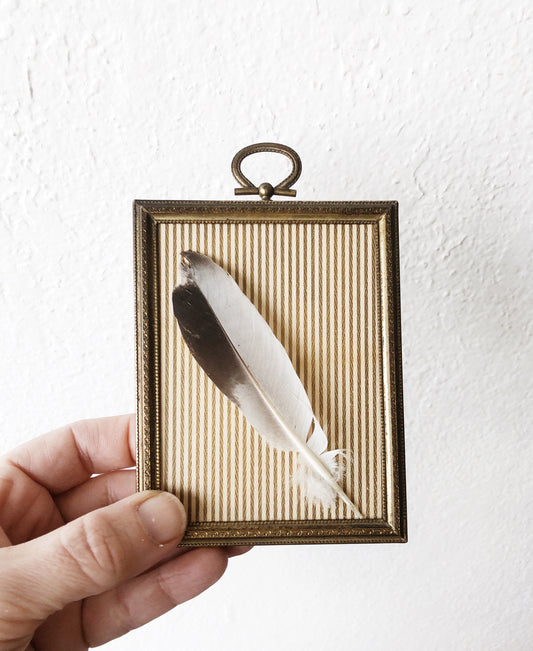 Antique Feather Art