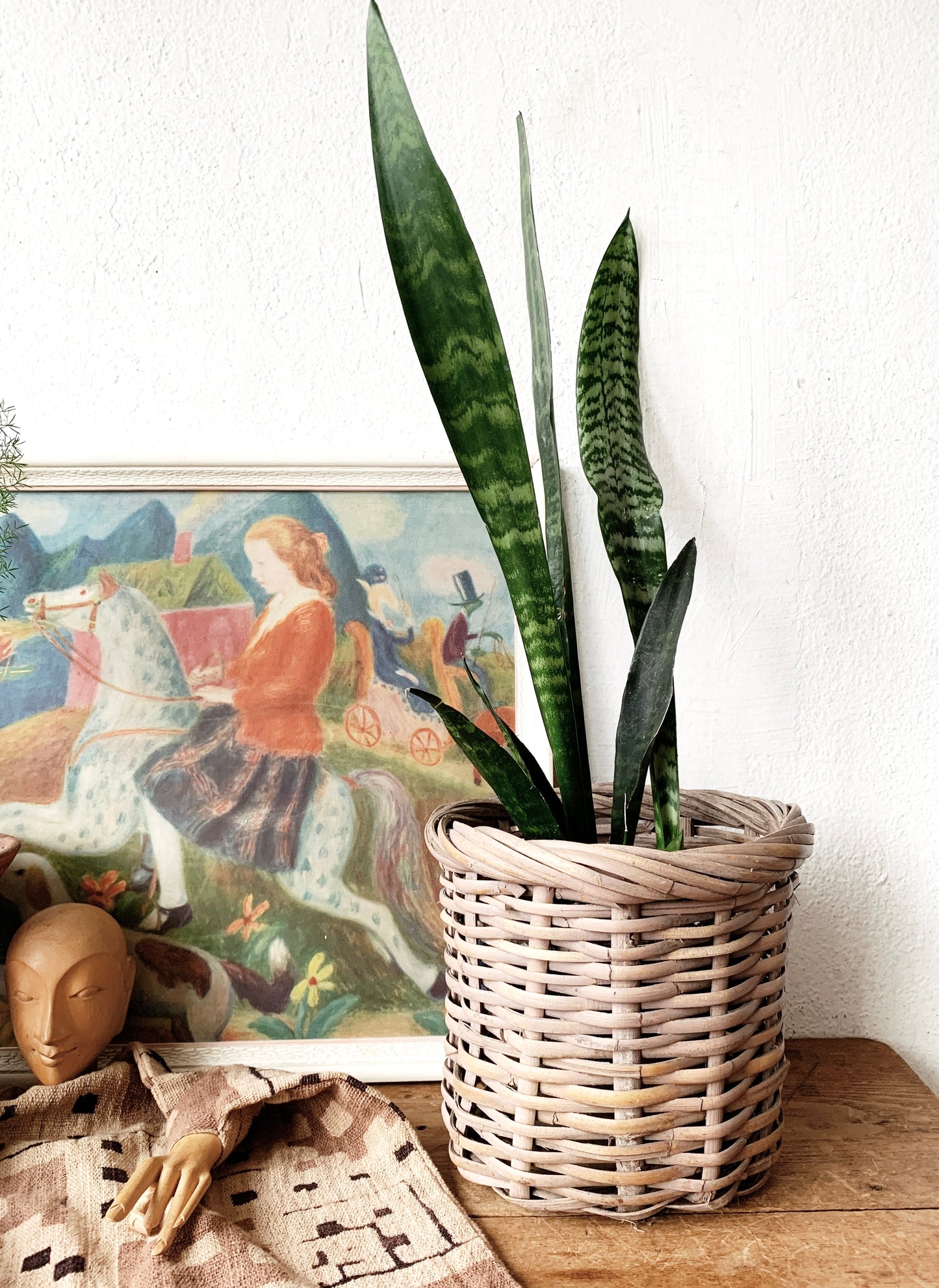 Vintage Plant Basket