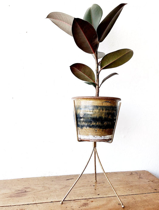 MCM Plant Stand and Ficus Elastica