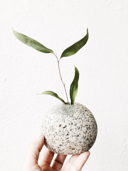 Handmade River Rock Vase