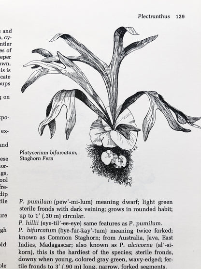 Vintage Houseplant Book