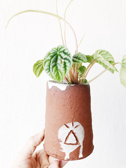 Pepperomia in Handmade Ghost Dancer Pot