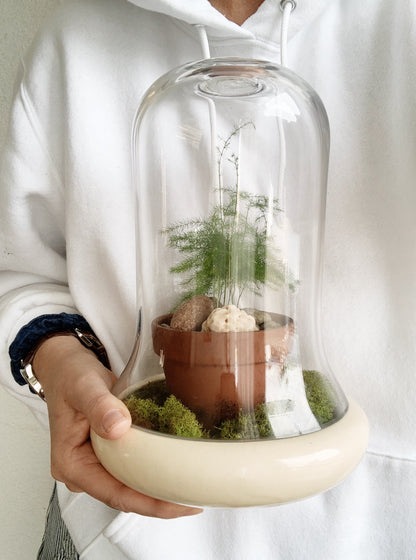 RESERVED Terrarium