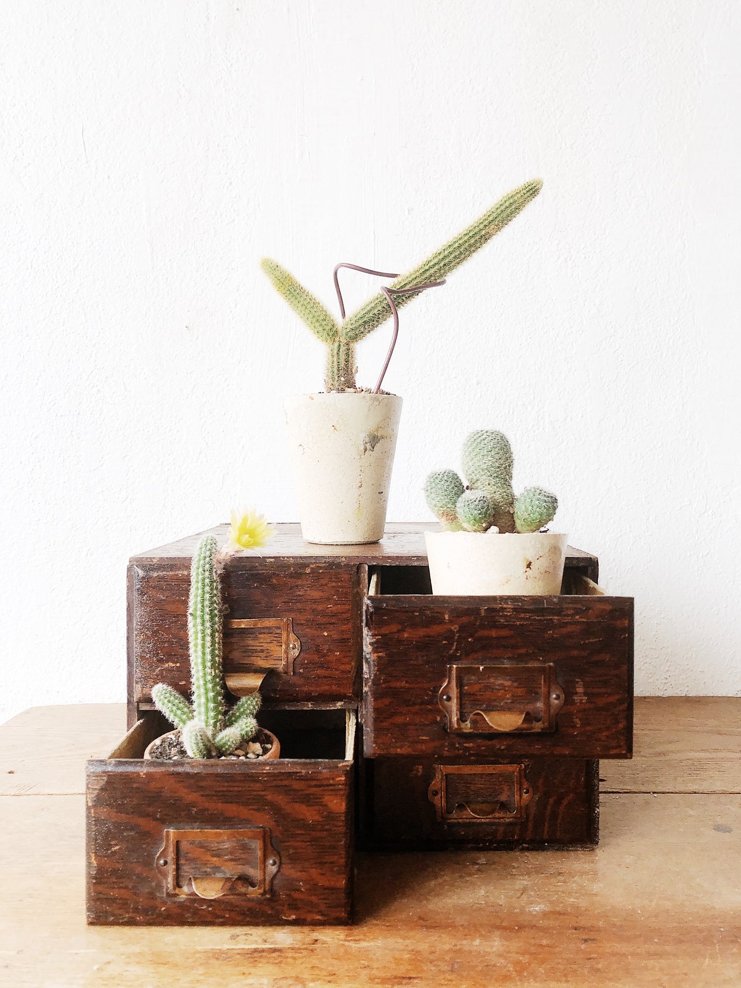 Vintage Filing Drawers