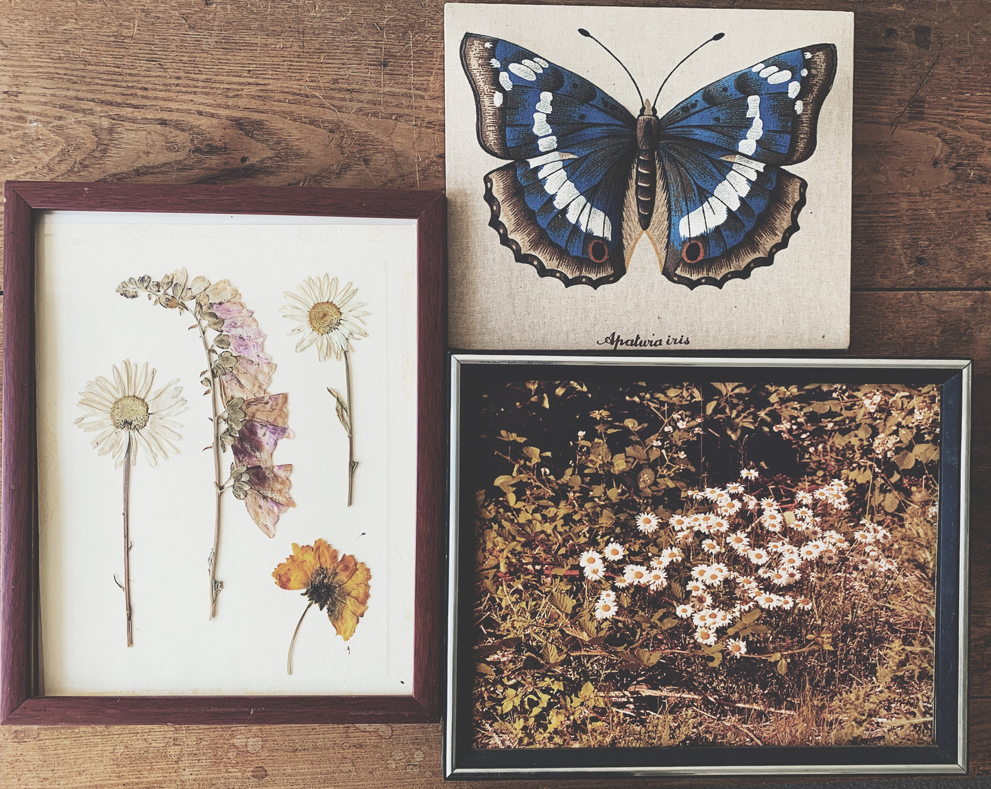 Vintage Butterfly Fabric Art