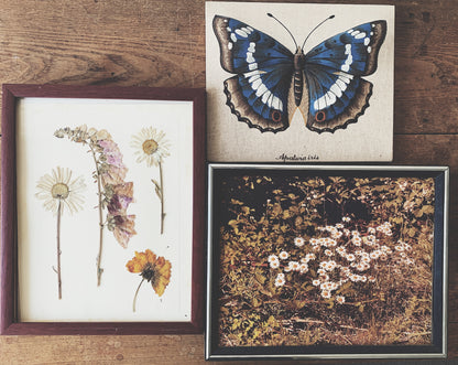 Vintage Butterfly Fabric Art