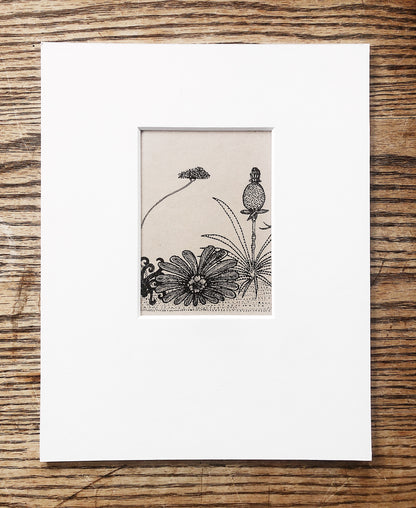 Vintage Win Ng Illustration