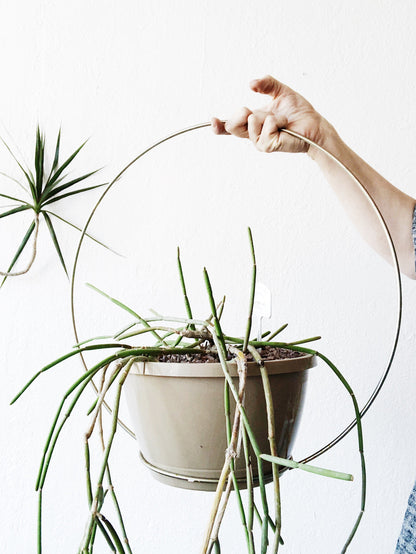 Vintage Minimal Chrome Circle Planter