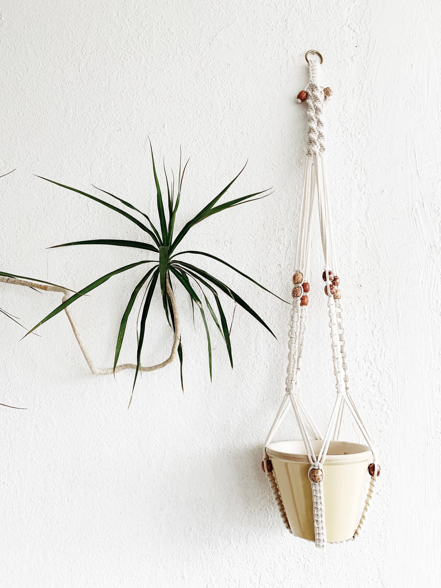 Cotton Macrame Hanger with Pot