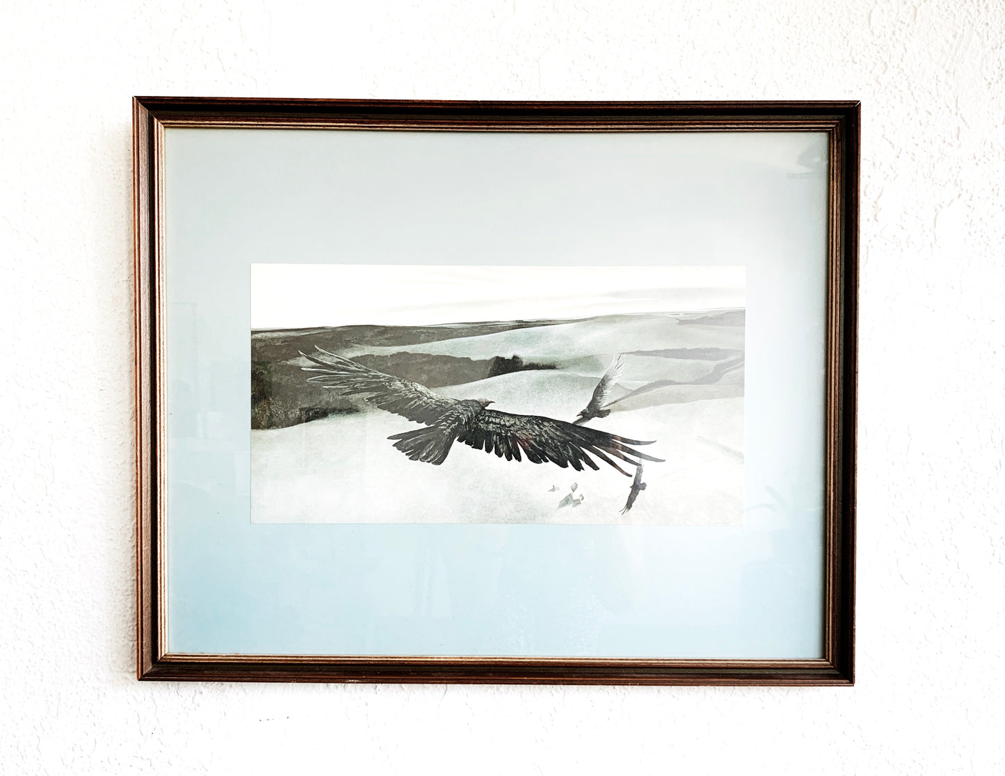 Vintage Framed Paul Carey Bird of Prey Art Print