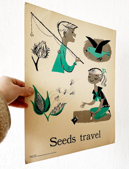 Mid Century Science Poster
